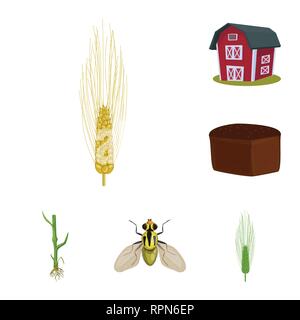 L'orge,grenier,pain,etuve,voler,root,bâtiment,insectes,hiver,industrie,brun,lutte,printemps,automne,alimentaire,sols,commande,spike,sain,graines,stop,dur,glucides croître ailes,Culture,remise,blé,maïs,grain,récolte,ferme,terrain,agriculture,agriculture,seigle,plantes,,set,icône,,illustration,collection,isolé,design,graphisme,élément signe,caricature,couleur,vecteurs vecteur , Illustration de Vecteur
