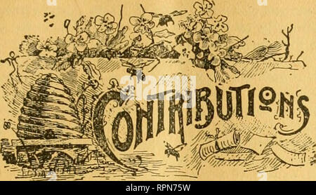 . American Bee Journal. La culture de l'abeille ; les abeilles. AMERICAN BEE JOURNALISTES] 623. Les abeilles italiennes-faits historiques. Écrit pour l'American Bee Journal par M. M. BALDBIDGE. L'écrivain a été un constant reader de l'American Bee Journal depuis son premier numéro en 1861, et il a essayé de lui-même Iceep ad assez bien supervisé sur les abeilles à partir de cette date jusqu'à l'heure actuelle. Il a, ainsi que de nombreux autres, a toujours considéré le "Vieux " comme l'fiable référentiel pour les faits historiques sur les abeilles, ruches, etc. De temps en temps, certaines déclarations ont été publiés dans l'American Bee Journal que wer Banque D'Images