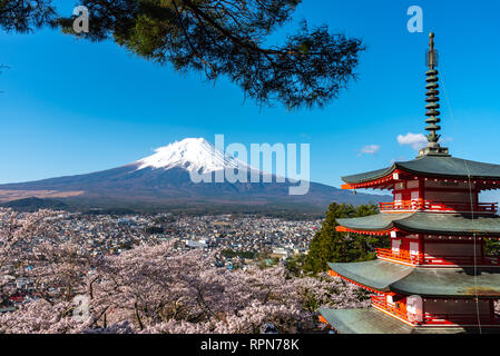 Le Mont Fuji vu de derrière la Pagode Chureito en fleurs fleurs de cerisier & ciel bleu fond naturel. Arakurayama,Parc Sengen Yamanashi, Japon Banque D'Images