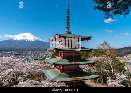 Le Mont Fuji vu de derrière la Pagode Chureito en fleurs fleurs de cerisier & ciel bleu fond naturel. Arakurayama,Parc Sengen Yamanashi, Japon Banque D'Images