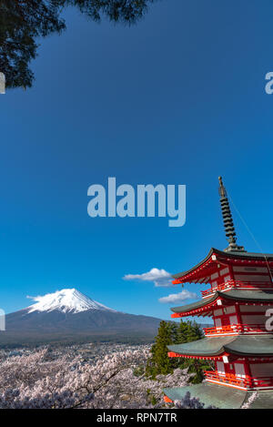 Le Mont Fuji vu de derrière la Pagode Chureito en fleurs fleurs de cerisier & ciel bleu fond naturel. Arakurayama,Parc Sengen Yamanashi, Japon Banque D'Images