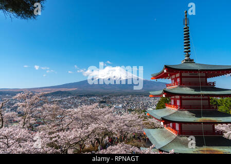 Le Mont Fuji vu de derrière la Pagode Chureito en fleurs fleurs de cerisier & ciel bleu fond naturel. Arakurayama,Parc Sengen Yamanashi, Japon Banque D'Images