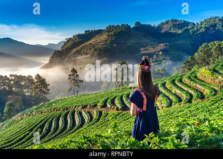 Femme portant robe hill tribe strawberry garden sur Doi Ang Khang , Chiang Mai, Thaïlande. Banque D'Images