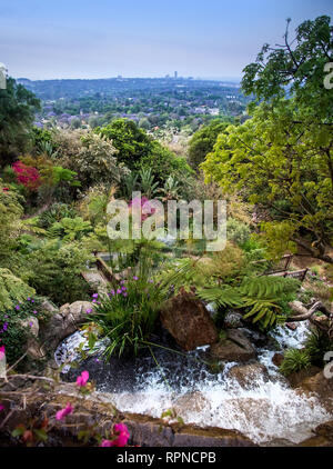 Dispositif de l'eau qui coule dans un jardin luxuriant. Banque D'Images