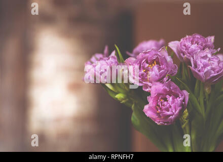Bouquet de tulipes roses vintage mat filtrée close up, de belles fleurs de printemps rose livraison de cadeau, violet purple bouquet floral romantique de présenter Banque D'Images