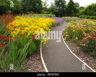 Chemin à travers les fleurs en été haut en couleurs les frontières dans Breezy genoux au jardin près de York, en Angleterre, le grenier aux images Banque D'Images