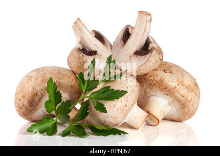 Un tas de champignon champignons au persil plat isolé sur fond blanc Banque D'Images