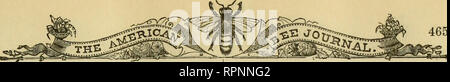 . American Bee Journal. La culture de l'abeille ; les abeilles. Pine Grove, Pa., Août 81, 1879. Avec deux vieux-style skeps de paille, contenant des colonies d'abeilles noires portées à mon endroit par mon père au printemps dernier, nous avons commencé dans les affaires de l'abeille. En lisant l'American Bee Journal, le professeur Cook's "Manuel", "Bee-Keeping Quinby's", "du roi, Text-Book" et L. C. la racine "Bee" Notes, nous avons jusqu'à présent s'admira- bly, mais non sans quelques erreurs. En mai, nous avons acheté deux autres colonies en ruches Mitchell, qui nous avons transféré, et en divisant fait sept colonies, et al Banque D'Images