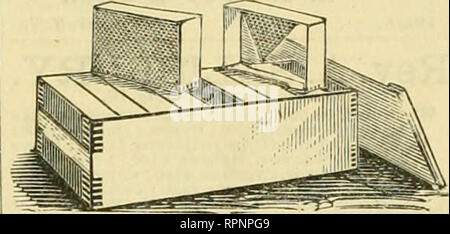 . American Bee Journal. La culture de l'abeille ; les abeilles. Livres pour Bee-Keepers. Manuel du cuisinier du rucher.-entièrement ré-écrite, considérablement augmentée et illustrée avec élégance, et est entièrement jusqu'à la fois sur tous les sujets possibles que les intérêts, apiculteur [t n'est pas seulement en utruotlve, mais extrêmement intéressante et pratique à fond. Le livre est une production magistrale, et un apiculteur qu'aucune, cependant limité de ses moyens, r;m'ittl nrd à faire sans. Tissu, 1*1,25 t ers- papier. 3M.OO, postpayé. Par douzaine, par express, tissu, $12. ; papier, 99.50. Bee-Keeping Qulnby de neuf, par L. C. Racine.- L'auteur Banque D'Images