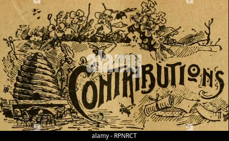 . American Bee Journal. La culture de l'abeille ; les abeilles. AMERICAN BEE JOURNAL. 467. En dehors des indications que les abeilles sont de miel. Écrit pour l'American Bee Journal par G. M. DOOLITTLE. Un correspondant écrit, "Comment puis-je savoir quand mes abeilles sont la cueillette de miel sans ouvrir les ruches ? Lorsque les abeilles sont occupés allant et venant de la ruche, et nous ne voyons pas de pollen sur leurs pol- len paniers, qu'il n'indique qu'ils obtiennent le miel ? Moyens"e réponse à travers l'American Bee Journal, comme je prends que du papier, et l'aime beaucoup." Les abeilles peuvent voler très rapidement, et pourtant ne pas être la garantie d'un h Banque D'Images