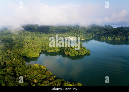 Forêt et lac Banque D'Images