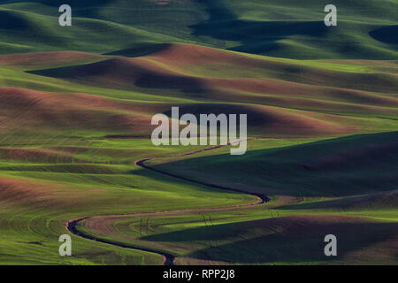 De Steptoe Butte dans l'Est de Washington, l'avis de la Palouse est sans fin. Au sein de l'ensemble des champs ondulants rempli de diverses cultures sont autant de texte Banque D'Images