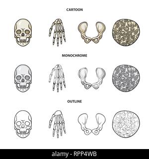 Crâne,poignet,ostéoporose de la hanche,la mort,main,,joints,cell,monster,bassin,calcium,tissus,le mal,chirurgie,structure,horreur,conjonctif,sain,bras,tatouage,cartilage,carpe,fémur,santé,tête,l'appareil locomoteur,eye,joints,rx,system,l'enfer,médecine, biologie médicale,clinique,os,squelette,anatomie,des,organes,,set,icône,,illustration,collection,isolé,design,graphisme,élément vecteur vecteurs,signer , Illustration de Vecteur