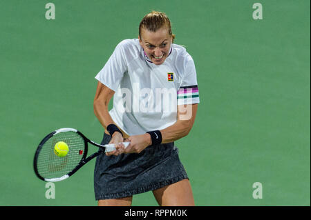 Dubaï, Émirats arabes unis. 22 Feb 2019.Petra Kvitova de la République Tchèque joue une balle dans la demi-finale match contre pendant le Dubai Duty Free Tennis championnat au stade de tennis international de Dubaï, DUBAÏ, ÉMIRATS ARABES UNIS Le 22 février 2019. Photo de Grant l'hiver. Credit : UK Sports Photos Ltd/Alamy Live News Banque D'Images