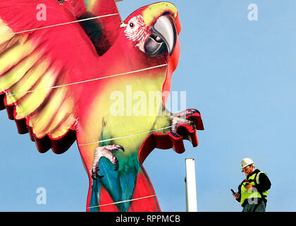 Bettendorf, Iowa, États-Unis. Mar 25, 2016. Le perroquet et signe sur le toit de l'hôtel Casino Isle of Capri à Bettendorf est enlevé Vendredi, 25 mars 2016, pour faire place à une nouvelle version sans le Parrot. Isle se prépare à ouvrir un nouveau casino traditionnel, et le perroquet n'en fait plus partie de la société en matière d'image de marque. En venant de l'Quad-City Times Dimanche : Bettendorf Davenport a fait l'histoire du jeu et de l'Iowa, il y a 25 ans avec l'ouverture de la première riverboat casinos. Crédit : Jeff Cook/Quad-City Times/ZUMA/Alamy Fil Live News Banque D'Images