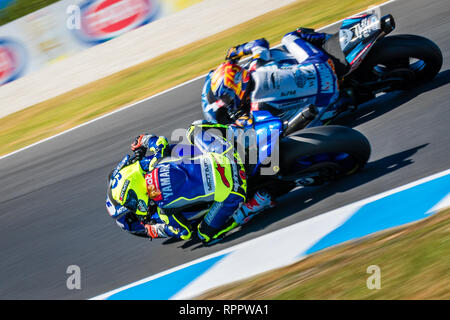 Melbourne, Australie. 23 févr. 2019. Au cours de la FP 3 2019 MOTUL FIM Superbike World Championship à Phillip Island, en Australie le 23 février 2019. Crédit : Dave Hewison Sports/Alamy Live News Banque D'Images