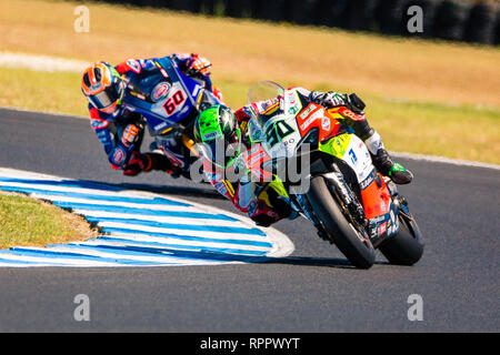 Melbourne, Australie. 23 févr. 2019. Eugene Laverty 50 équitation pour Kawasaki Puccetti Racing pendant le 2019 MOTUL FIM Superbike World Championship à Phillip Island, en Australie le 23 février 2019. Crédit : Dave Hewison Sports/Alamy Live News Banque D'Images