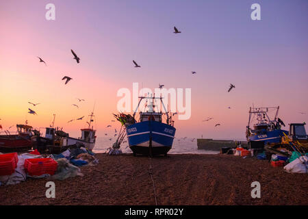 Hastings, East Sussex, Royaume-Uni. 23 février 2019. Les mouettes tourbillonnent autour d'un bateau de pêche de Hastings à un lever de soleil brumeux le matin d'une matinée très douce sur la plage de la vieille ville de Stade, sur ce qui promet d'être une journée chaude et ensoleillée. Crédit : Carolyn Clarke/Alay Live News. Lever du soleil en hiver Banque D'Images