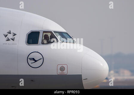 21 février 2019, Hessen, Frankfurt/Main : un avion de passagers de Lufthansa à la piste des rouleaux à l'aéroport. Photo : Silas Stein/dpa Banque D'Images