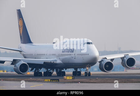 21 février 2019, Hessen, Frankfurt/Main : un Boeing 747 de la compagnie aérienne Lufthansa rolls à la piste à l'aéroport. Photo : Silas Stein/dpa Banque D'Images