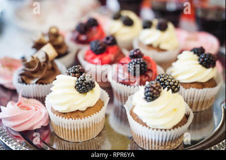 Belle de délicieux gâteaux confiserie au curry. une fête. De nombreux muffins sucré sur un plateau Banque D'Images