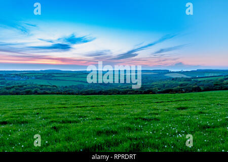 Du temps le soir au crépuscule coucher de soleil sur domaines de grasss et arbres à Cornwall Banque D'Images