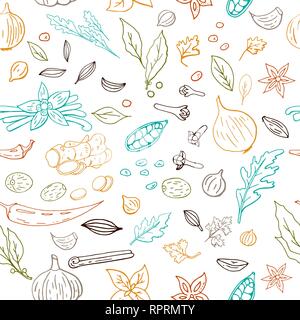 Seamless pattern vecteur dessiné à la main avec différentes épices contour isolé sur fond blanc Illustration de Vecteur