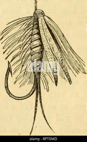 . L'alphabet de la pêche scientifique à l'usage des débutants. Pêche à la mouche ; pêche ; poissons appâts -- Aliments ; Poissons -- et l'alimentation du bétail ; Poissons -- les organes des sens. 100 LEÇONS PRATIQUES À RIVER ANGLING. pendant un long moment, immobile près du fond. Dans ce cas aussi le pehbles doit être eu recours à ; pour le plus d'un poisson est maintenu en mouvement, plus tôt il s'appauvrit. Quand il commence à montrer son côté, et l'ex- hibits sans équivoque d'autres symptômes d'épuisement, un lieu d'atterrissage favorable doit être recherché, et quand le bon moment arrive, qui ne peut être appris par les leçons de l'expérience, puis Banque D'Images