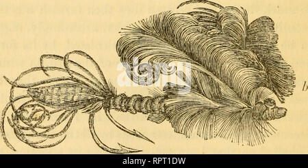 . L'alphabet de la pêche scientifique à l'usage des débutants. Pêche à la mouche ; pêche ; poissons appâts -- Aliments ; Poissons -- et l'alimentation du bétail ; Poissons -- les organes des sens. fl, ère naturelle^on-fly ; h, Dragon-fly d'imitation. " Il peut être demandé, dit-il, " Sur quel principe de l'art d'imitation des différentes variétés de saumon-vol peut être censé porter la plus lointaine ressemblance avec toute espèce de dragon-fly, d'imiter ce qui nous sont souvent dit qu'ils sont destinés ? Certainement pas par- ceptible similitude de forme ou aspect existe entre. Veuillez noter que ces images sont extraites de scann Banque D'Images