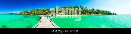 Panorama incroyable silhouette sable plage tropicale avec palmiers de noix de coco dans une mer cristalline sur fond de l'eau nature paysage Banque D'Images