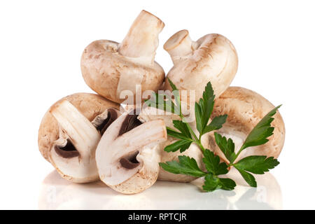 Un tas de champignon champignons au persil plat isolé sur fond blanc Banque D'Images