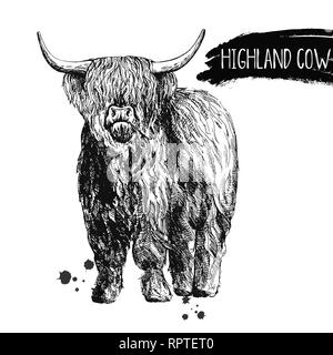 Style croquis dessinés à la main, Highland cattle isolé sur fond blanc. Vector illustration. Illustration de Vecteur