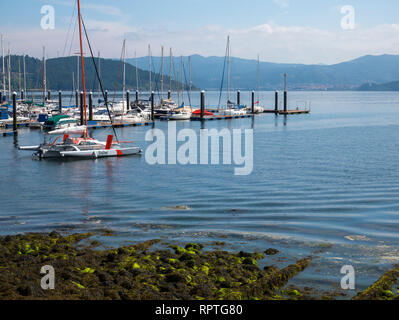 Puerto de San Adrián en la Ría de Vigo. Pontevedra. La Galice. España Banque D'Images