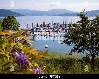 Puerto de San Adrián en la Ría de Vigo. Pontevedra. La Galice. España Banque D'Images