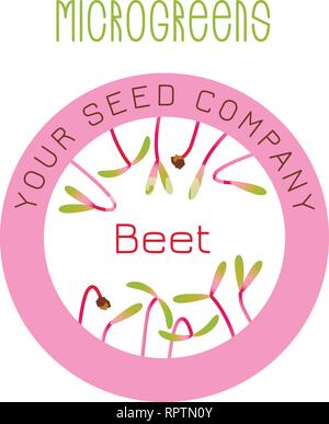 Betterave Microgreens. La conception des emballages de semences, l'élément rond au centre Illustration de Vecteur