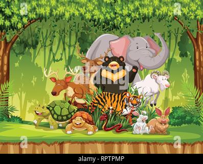 Groupe d'animaux dans l'illustration de la scène jungle Illustration de Vecteur