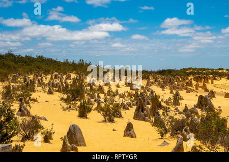 Le Désert des Pinnacles en Australie de l'Ouest près de l'Océan Indien Banque D'Images