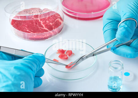 Échantillon de viande en boîte de culture cellulaire jetables en plastique dans un laboratoire moderne ou installation de production. L'étiquette écrite sur le plat a été générée fo Banque D'Images