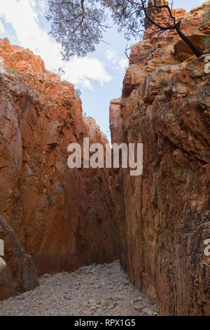 Angkerle Atwatye Standley Chasm est considérée comme une commission géologique spectaculaire et importante icône culturelle du centre de l'Australie. Banque D'Images