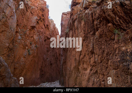 Angkerle Atwatye Standley Chasm est considérée comme une commission géologique spectaculaire et importante icône culturelle du centre de l'Australie. Banque D'Images