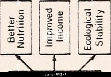 . L'évaluation agro-économique de quatre modes de culture de légumes pour North Florida comme influencé par la culture et la gestion des engrais. La culture maraîchère ; ; systèmes de culture de légumes. 46 CO I en -Luján -&Lt ;-) XU) Q.iXI CC. &Lt;u paragraphe I 3 o o c.a. o. o Un CD a. o Un) rH riJ 01 -p 0) bO a) &gt ; o -p x ; c) 01 o u Oh t^ JO -P C (1) 1 = (1) bO 01 C 01 e ph o • x : M o o ^ m a) o w 0) H u fl) ?T-i w o 1^ B 0) -p H M 01 &gt ;^ ;3 W -p Ph bl) 0) C C) •H fi ft o ft C) O ?-( &Lt ; o •H fcfl en,. Veuillez noter que ces images sont extraites de la page numérisée des images qui peuvent avoir été retouchées numériquement pour rea Banque D'Images