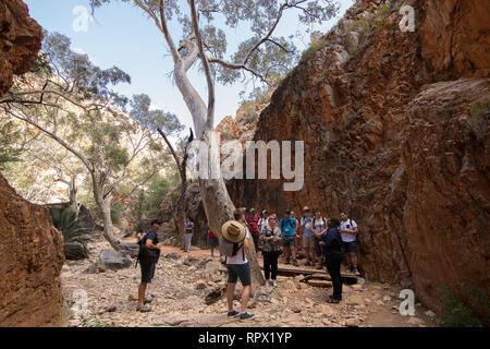 Angkerle Atwatye Standley Chasm est considérée comme une commission géologique spectaculaire et importante icône culturelle du centre de l'Australie. Banque D'Images