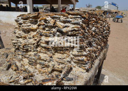 Les zones de transformation pour la production traditionnelle des, séchées et salées de la sardinelle braisée (Kejax le poisson séché) près de Mbour, Sénégal Banque D'Images