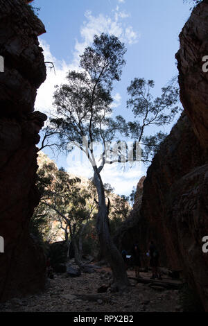 Angkerle Atwatye Standley Chasm est considérée comme une commission géologique spectaculaire et importante icône culturelle du centre de l'Australie. Banque D'Images