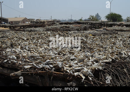 Les zones de transformation pour la production traditionnelle des, séchées et salées de la sardinelle braisée (Kejax le poisson séché) près de Mbour, Sénégal Banque D'Images