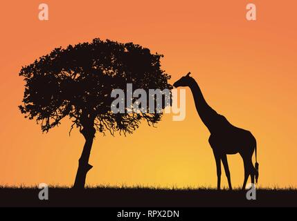 Silhouette de girafe, d'herbe et d'arbres dans le paysage safari africain. Ciel orange avec de l'espace pour le texte - vector Illustration de Vecteur