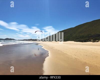 Parapentiste sur plage, Brenton on Sea, Western Cape, Afrique du Sud Banque D'Images