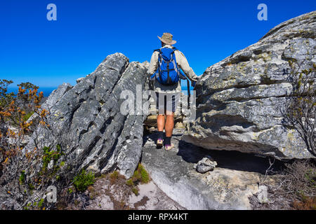 Homme randonnée sur le Cap de Bonne Espérance, sentier de randonnée Western Cape, Afrique du Sud Banque D'Images
