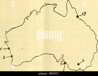 . Alghe di l'Australie, la Tasmanie e Nuova Zelanda raccolte dal rev. dott. Giuseppe Capra nel 1908-1909. Les algues Les algues Les algues ; ;. ALGHE DI L'AUSTRALIE, la Tasmanie E NUOVA ZELANDA II Il materiale di cui forma oggetto la nostra memoria proviene dalle via : les 1. Avon Ri ver, de l'Australie occidentale ; 2. Baia di Geroldton, id.  ; 3. Victor Harbor, Australie meridionale ; 4. Porto di Adelaide, id.  ; 5. Daylesford, Victoria ; 6. Baron River, N. Queensland ; 7. Burmie, Tasmanie ; 8. Baia di- La Trobe, id.  ; 9. Hobart, id.  ; 10. Deloraine, id.  ; 11. Fiume Tamar, id.  ; 12. Bluff, Nuova Zelanda ; 13. Lyttle Banque D'Images