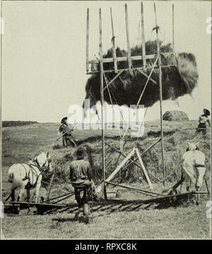 . L'agriculture de luzerne en Amérique. La luzerne. 318 ALFAr.PA L'AGRICULTURE DANS AMEIilCA. Deuxième jour après la construction. Il faut d'^ tops du foin sauvage, Timothy ou certains de ces documents qui permettront de mieux comprendre l'eau. La luzerne n'est pas versé d'eau du tout.. Méthode MODERNE OB^ S'rA(;KIN(je HAY. Il y a couvre les faits de large servira bien que les id de boa. Ces conseils sont tenus en place* par utilisation de spe- ment construit des chaînes dans lequel le ])oai s'dai-c glissé !. Les conseils devraient avoir deux bonnes couches. Veuillez noter que ces images sont extraites de la page numérisée des images qui peuvent avoir été retouchées numériquement pour plus de lisibilité - col Banque D'Images